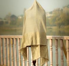 Solid Ivory Wool Pashmina Shawl with Subtle Striped Border